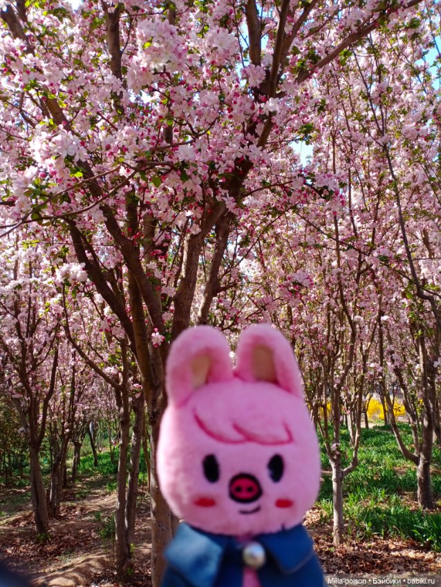 Dwaekki в Ботаническом саду