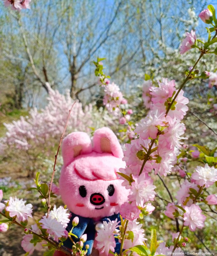 Dwaekki в Ботаническом саду