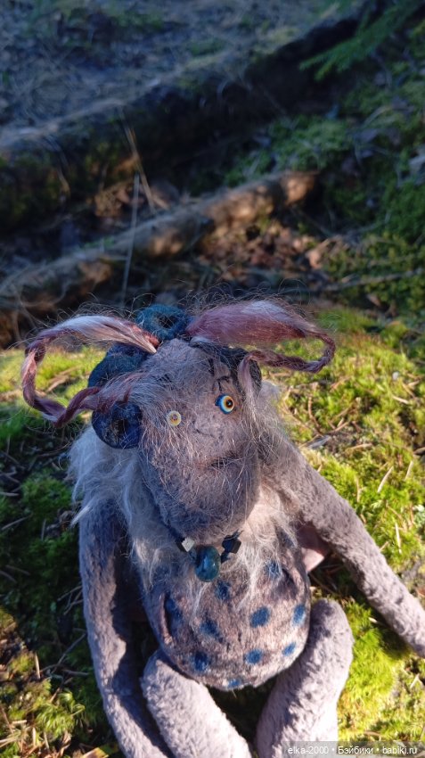 Моя нестандартная моль — Домашние фото авторских игрушек: Тедди