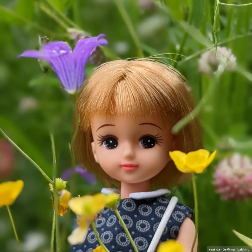 С днём рождения, Ликка — Куклы Takara Tomy (Такара): Licca (Ликка) (фото 2)