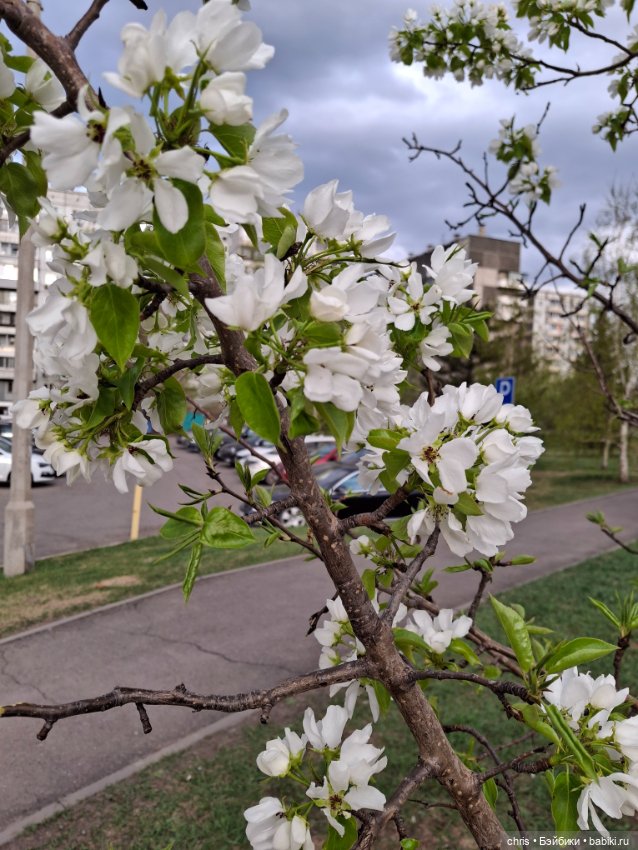 Саймон — Коллекционные фигурки Hot Toys (Хот Тойс) 1:6: фото