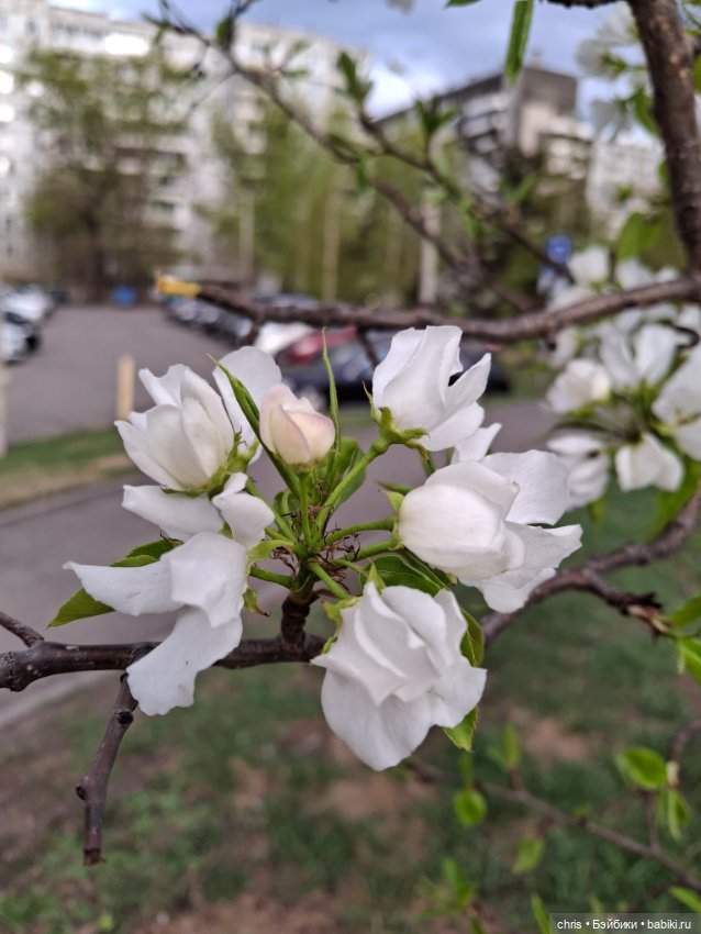 Саймон — Коллекционные фигурки Hot Toys (Хот Тойс) 1:6: фото