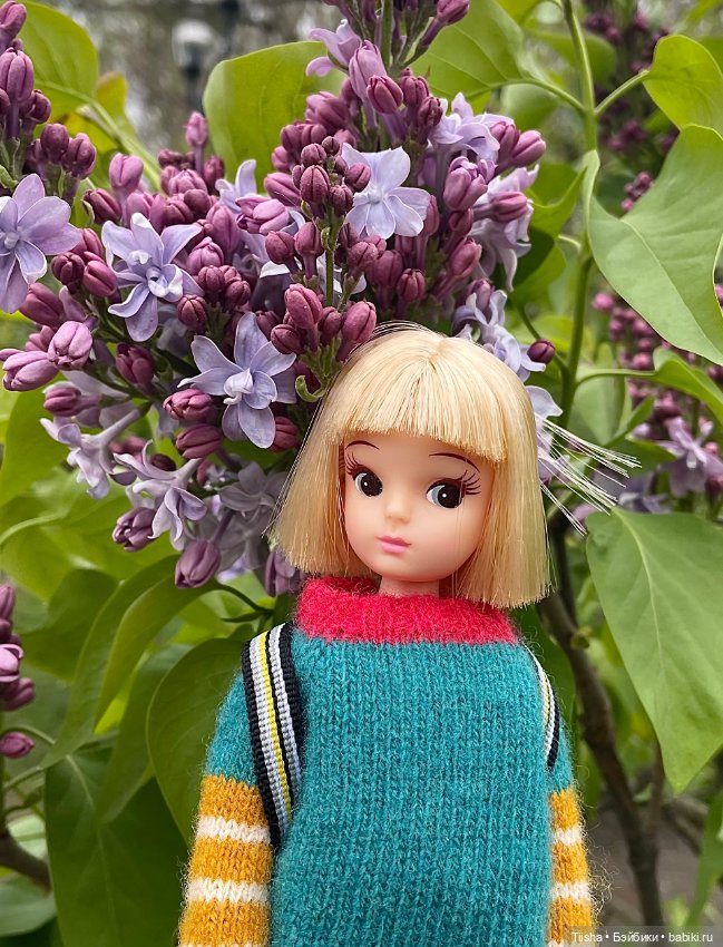 С днём Рождения Ликка чан (фото 6)