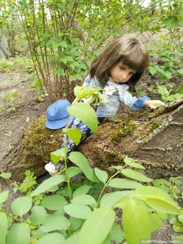 Мир? Труд? Май — Куклы Ruby Red (Руби Ред) Fashion Friends: Siblies