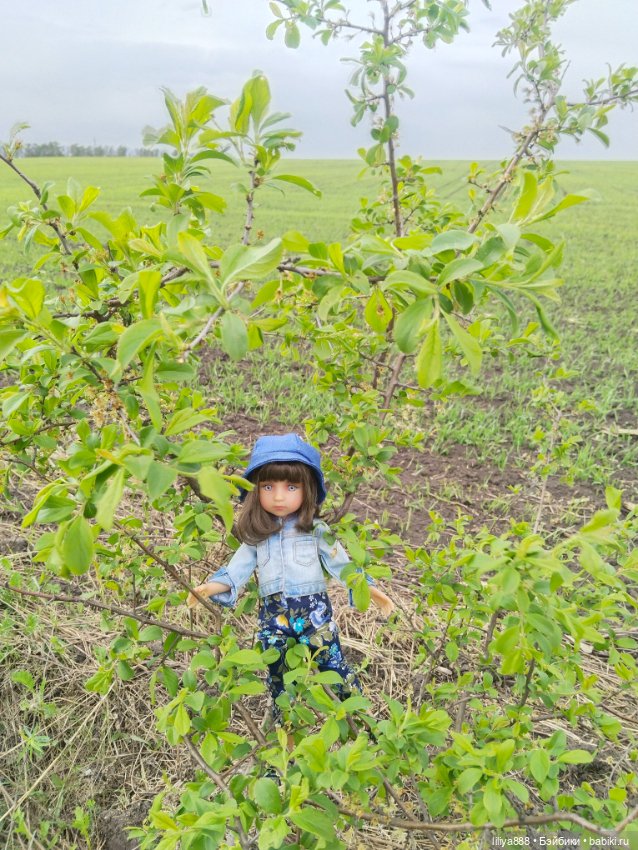 Мир? Труд? Май — Куклы Ruby Red (Руби Ред) Fashion Friends: Siblies (фото 7)