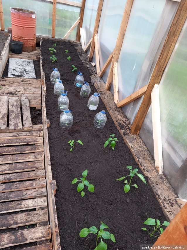 Мир! Труд! Май — Винтажные куклы ГДР (Немки): Бигги (фото 10)