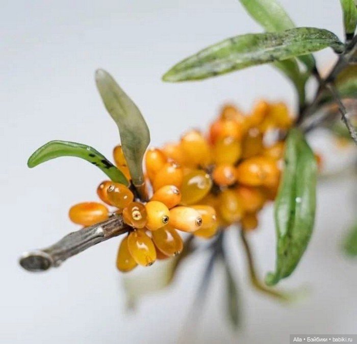 Облепиха - шедевр от Anna Nova (фото 5)