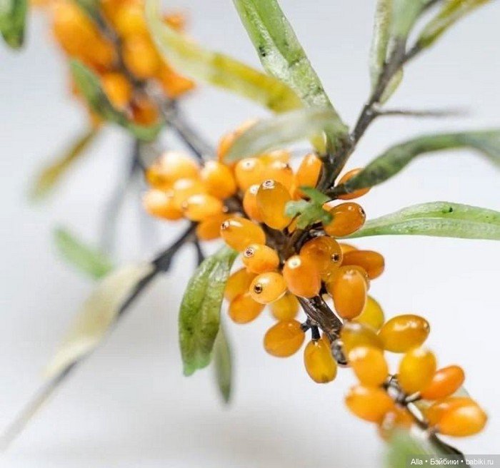 Облепиха - шедевр от Anna Nova