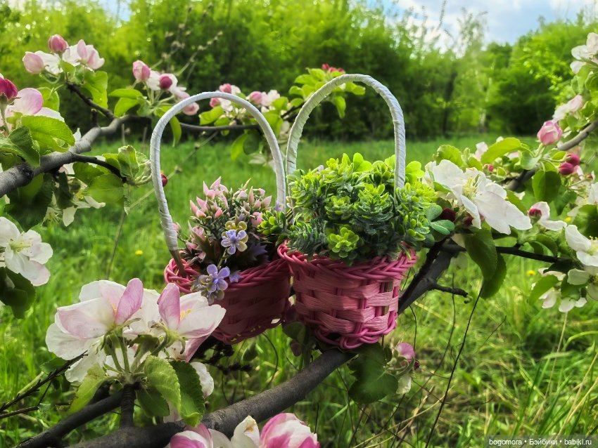 Пикник в лесу — Фотоистории с куклами BJD (БЖД): сериалы