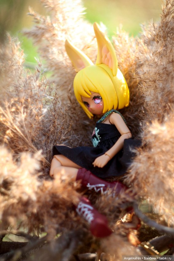 Веспер - заяц с характером