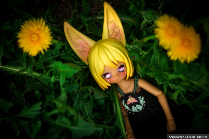 Веспер - заяц с характером