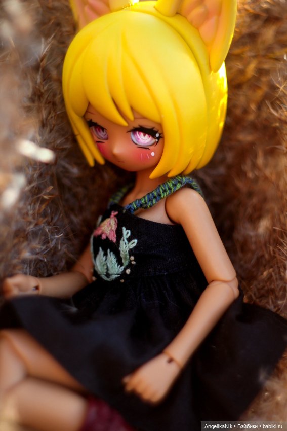 Веспер - заяц с характером