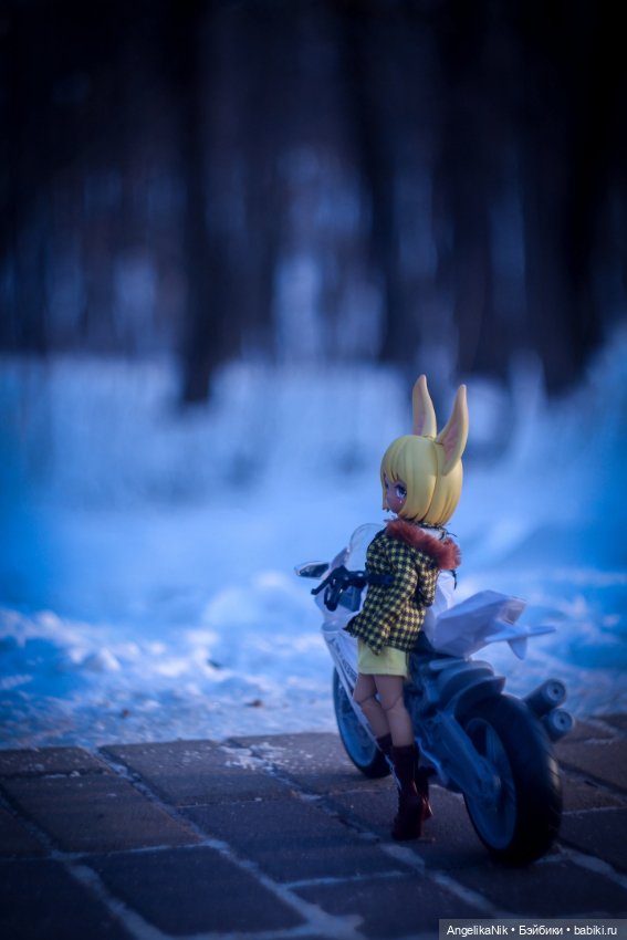 Веспер - заяц с характером