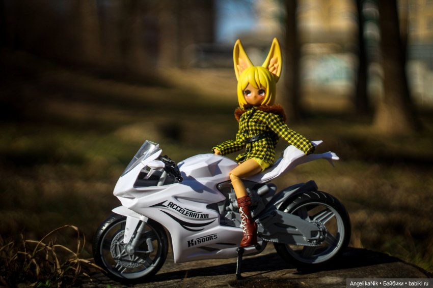 Веспер - заяц с характером