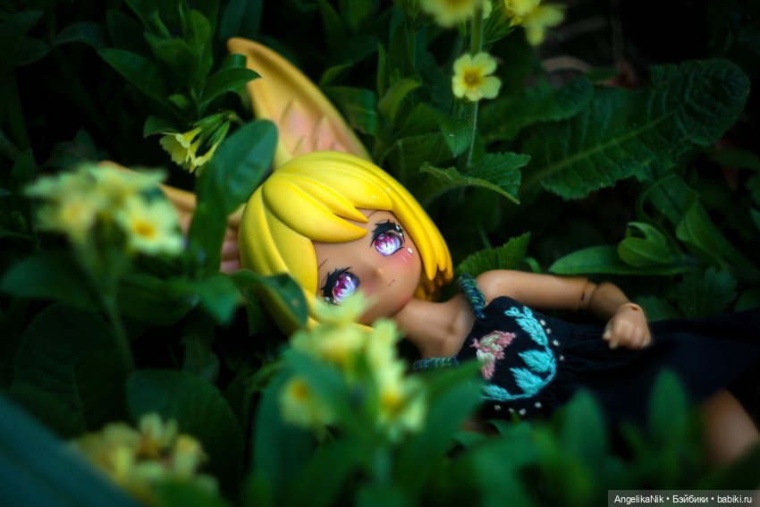 Веспер - заяц с характером