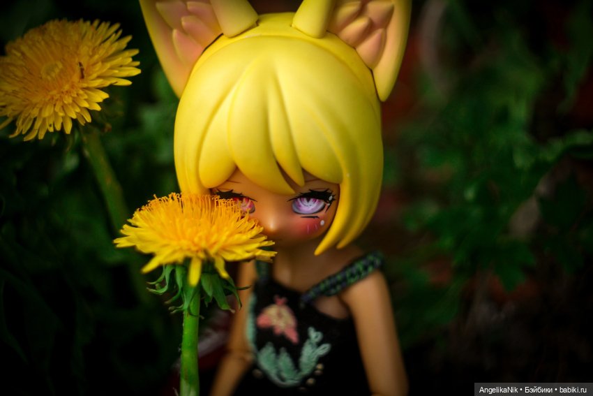 Веспер - заяц с характером