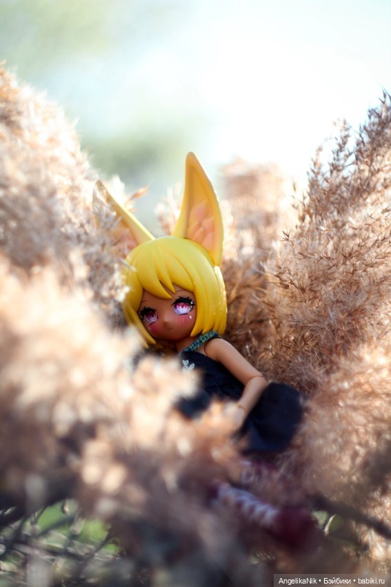 Веспер - заяц с характером