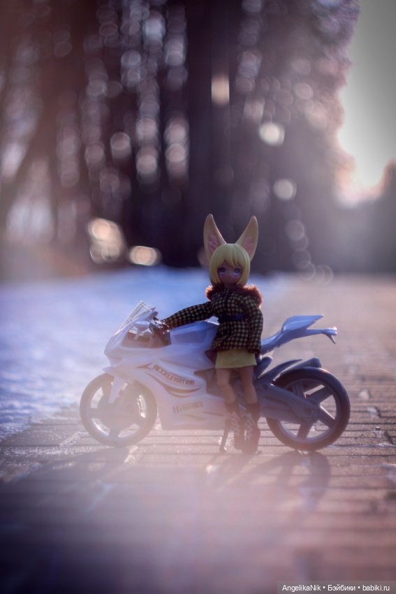 Веспер - заяц с характером