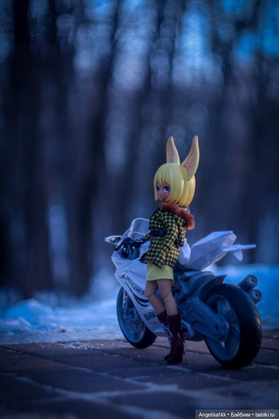 Веспер - заяц с характером