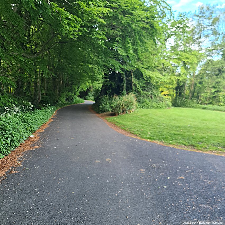 Хороший день для прогулки