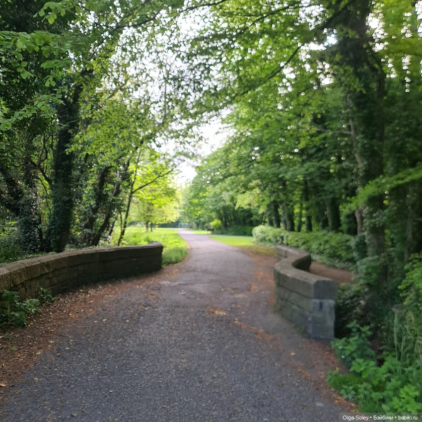 Хороший день для прогулки (фото 7)