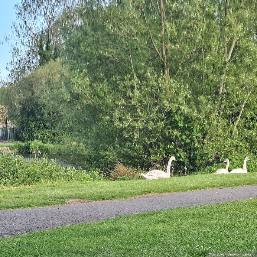 Хороший день для прогулки