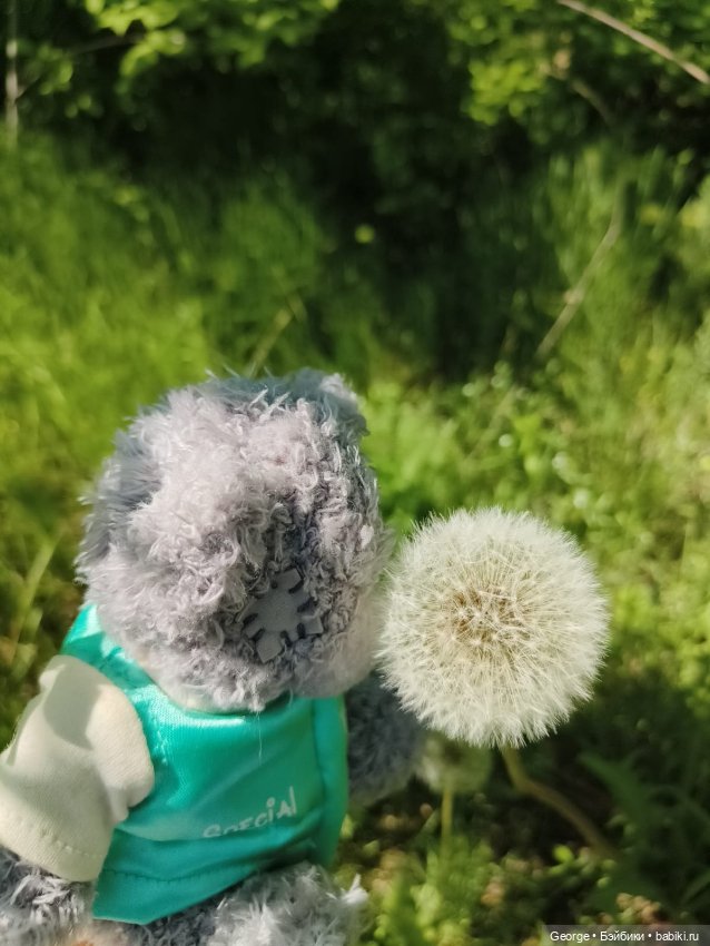 Мишка — Плюшевые мишки и игрушки (Teddy Bear): винтаж (фото 2)