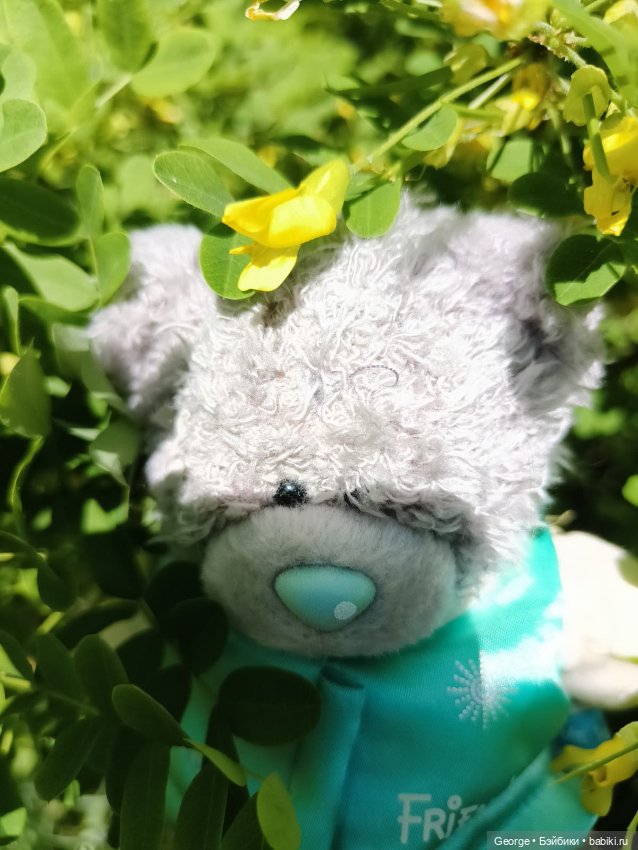 Мишка — Плюшевые мишки и игрушки (Teddy Bear): винтаж (фото 8)