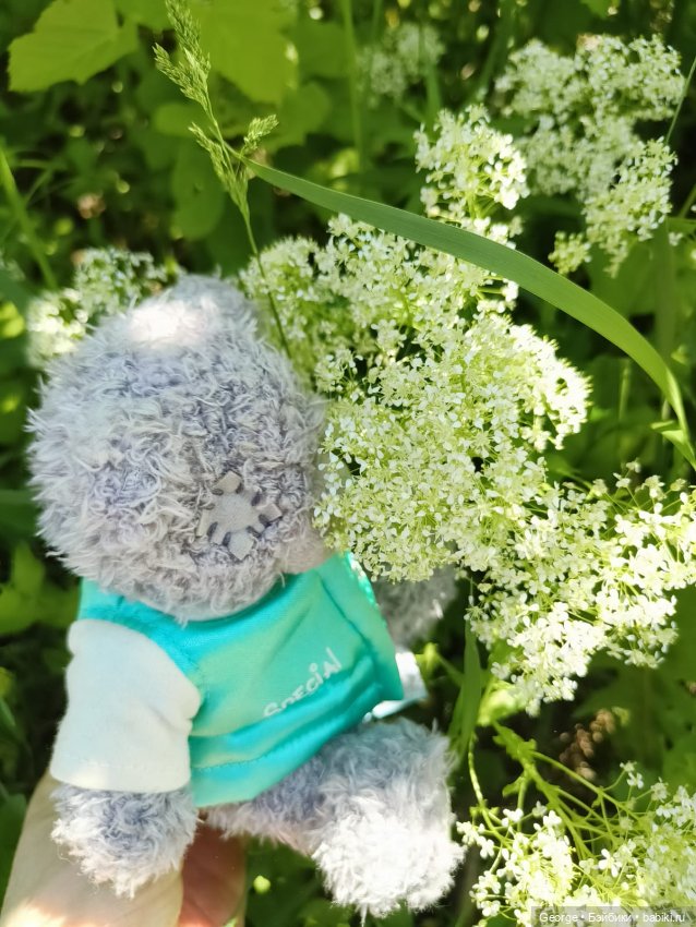 Мишка — Плюшевые мишки и игрушки (Teddy Bear): винтаж (фото 7)