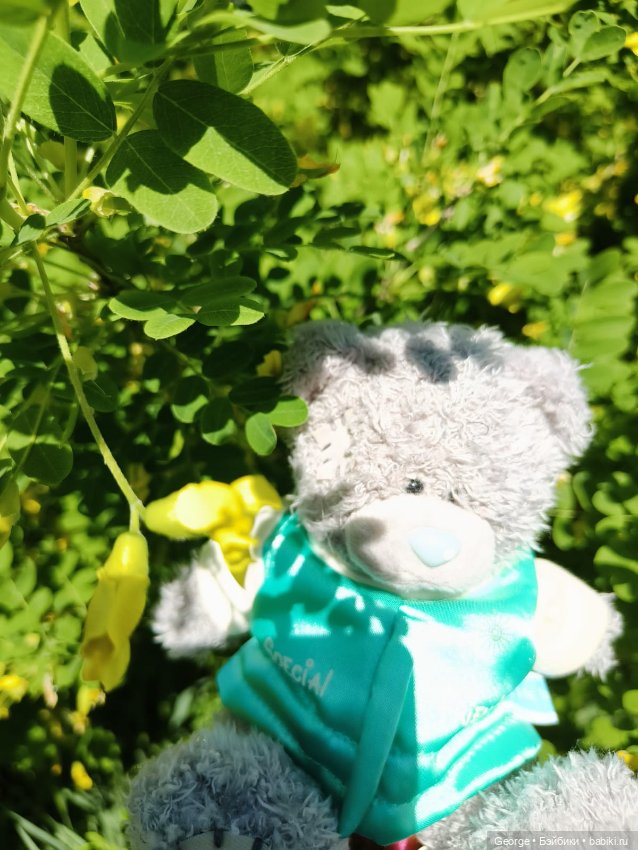 Мишка — Плюшевые мишки и игрушки (Teddy Bear): винтаж (фото 4)