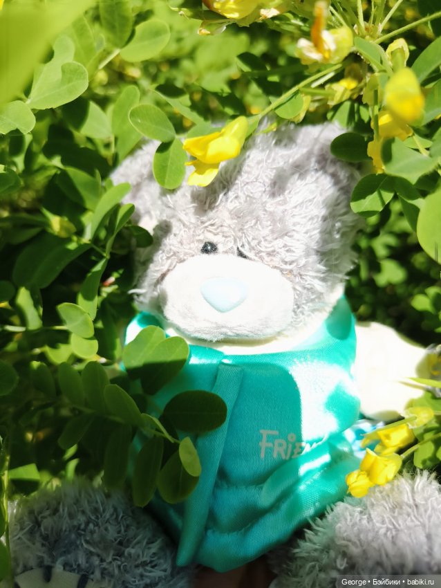 Мишка — Плюшевые мишки и игрушки (Teddy Bear): винтаж (фото 6)