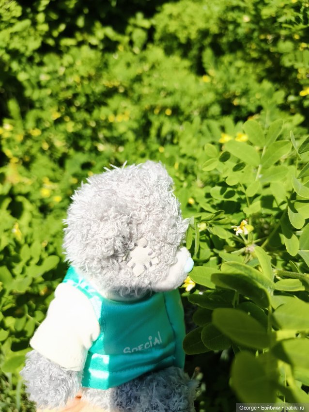 Мишка — Плюшевые мишки и игрушки (Teddy Bear): винтаж (фото 5)