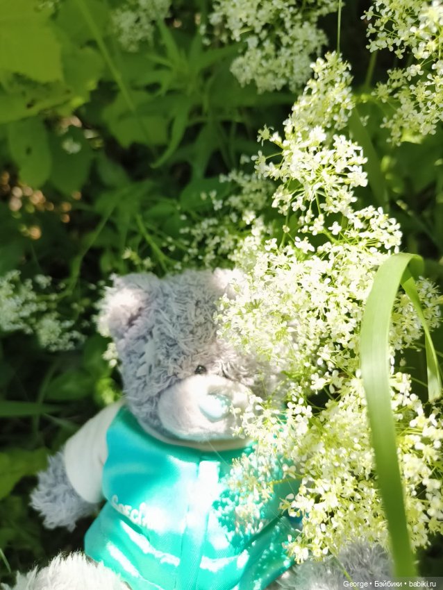 Мишка — Плюшевые мишки и игрушки (Teddy Bear): винтаж (фото 9)