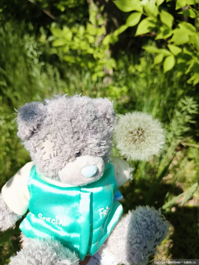 Мишка — Плюшевые мишки и игрушки (Teddy Bear): винтаж (фото 3)