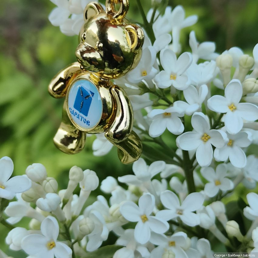 Цветы и мишка — Плюшевые мишки и игрушки (Teddy Bear): винтаж (фото 6)