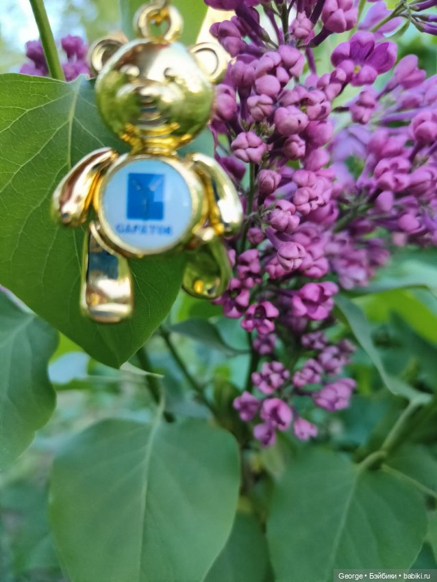 Цветы и мишка — Плюшевые мишки и игрушки (Teddy Bear): винтаж (фото 7)