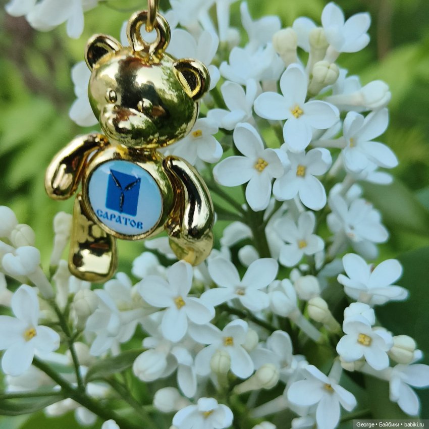 Цветы и мишка — Плюшевые мишки и игрушки (Teddy Bear): винтаж (фото 3)