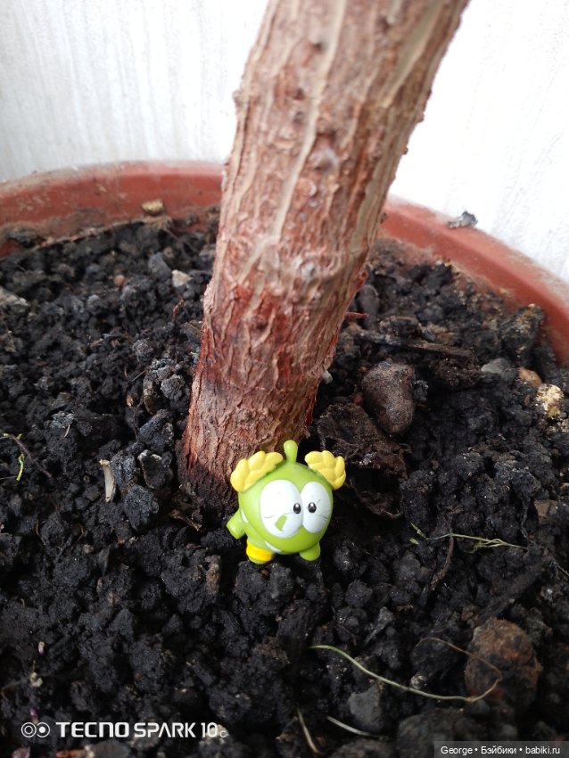 Амням конкурс — Интересные игрушки и фигурки (разное): редкие