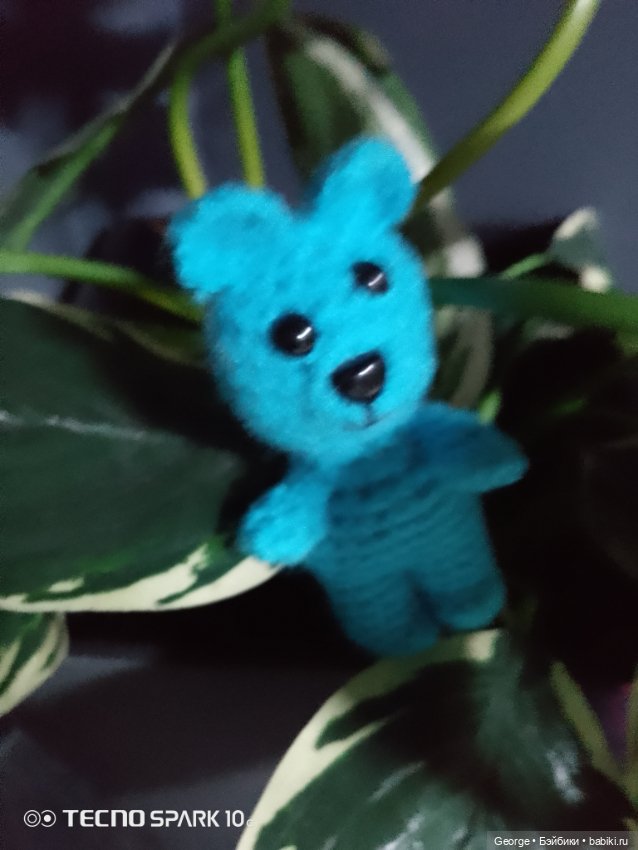 Медвежонок заблудился в тропическом лесу (фото 2)