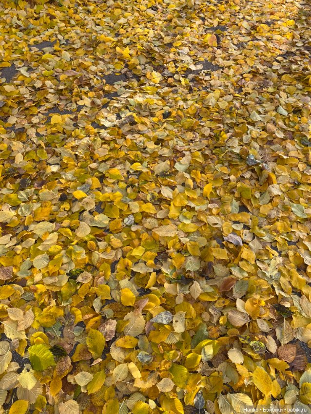 Моточек — Одежда и обувь для кукол своими руками: фото (фото 7)