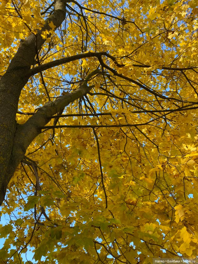 Моточек — Одежда и обувь для кукол своими руками: фото