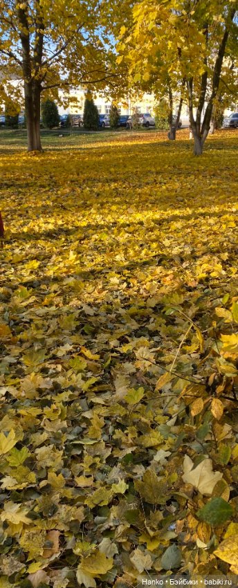 Моточек — Одежда и обувь для кукол своими руками: фото (фото 8)