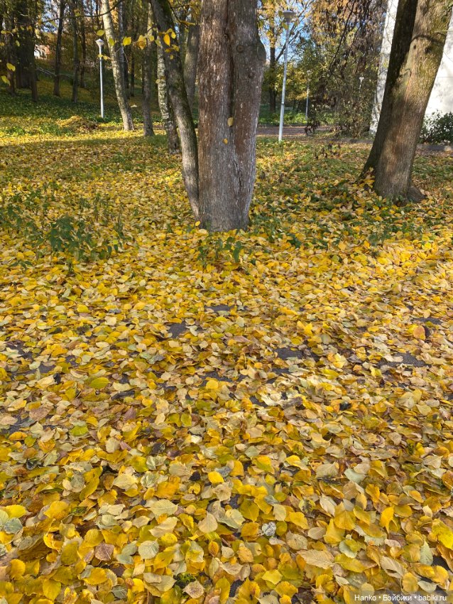 Моточек — Одежда и обувь для кукол своими руками: фото (фото 6)