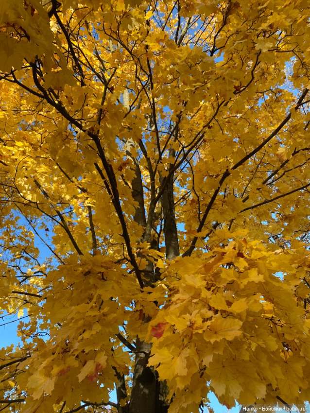 Моточек — Одежда и обувь для кукол своими руками: фото (фото 5)