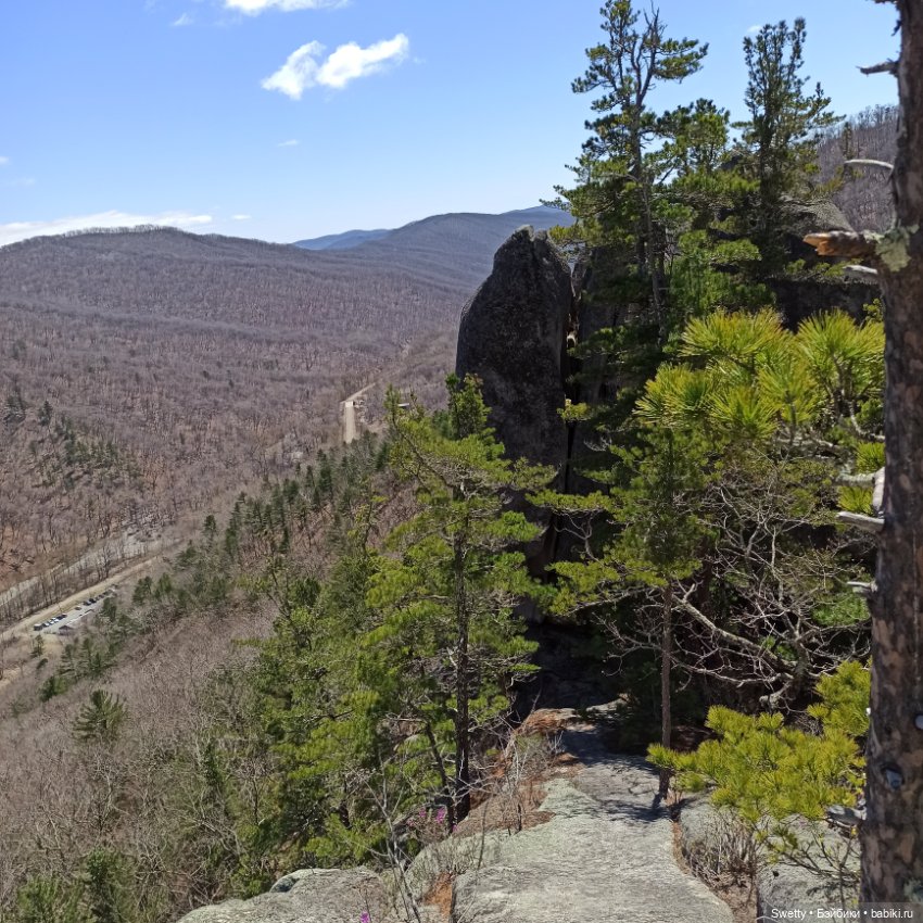 Апрельская прогулка Ликки в страну цветущего багульника (фото 4)