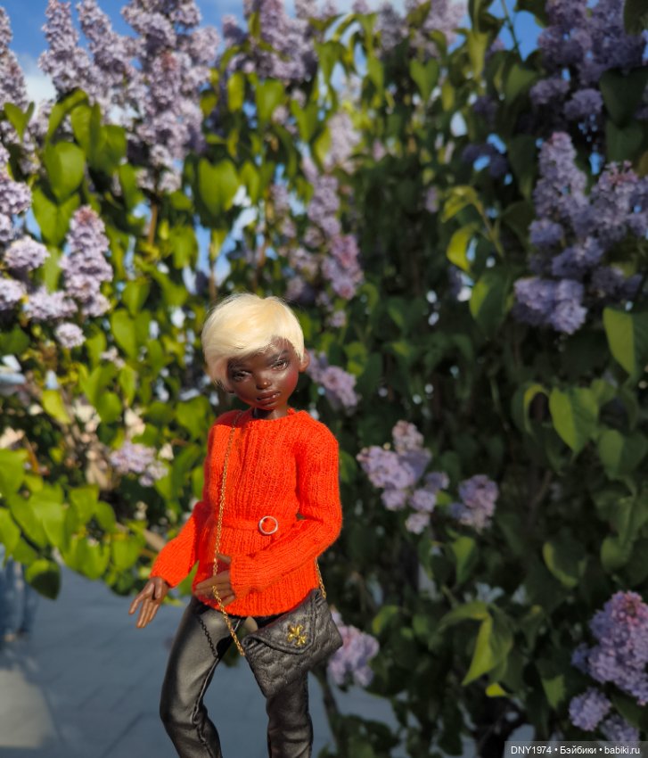 Прогулка Анны — Куклы Dart dolls (Анна Шиткина): российские BJD (БЖД) (фото 5)