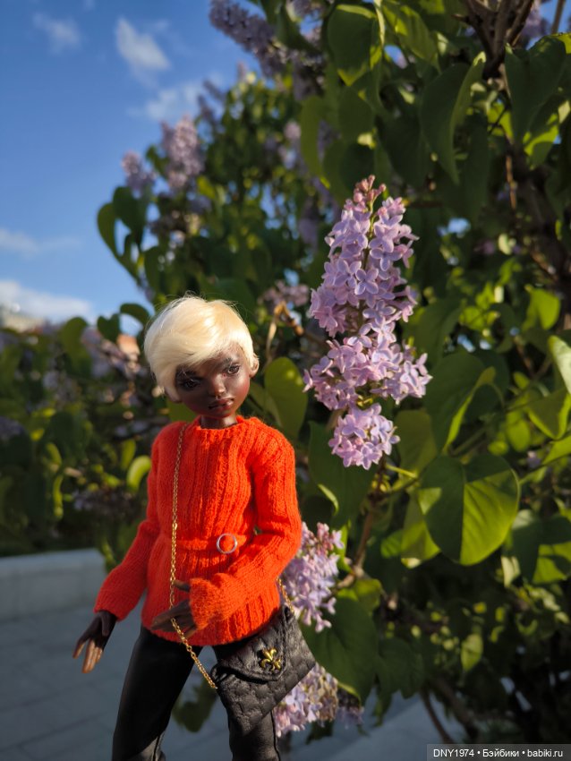 Прогулка Анны — Куклы Dart dolls (Анна Шиткина): российские BJD (БЖД) (фото 7)