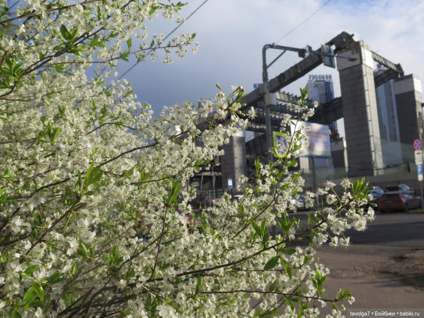 Наш холодный апрель-май 2025