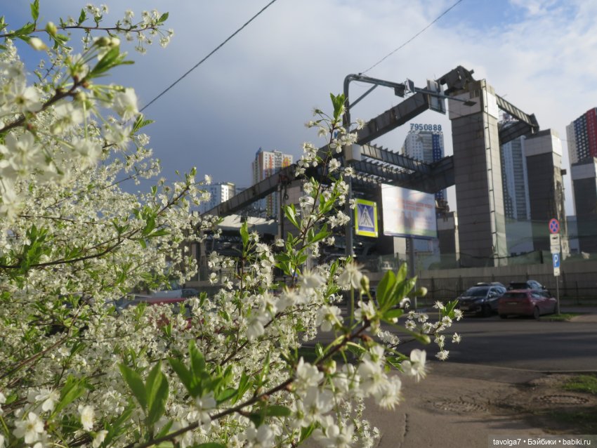 Наш холодный апрель-май 2025