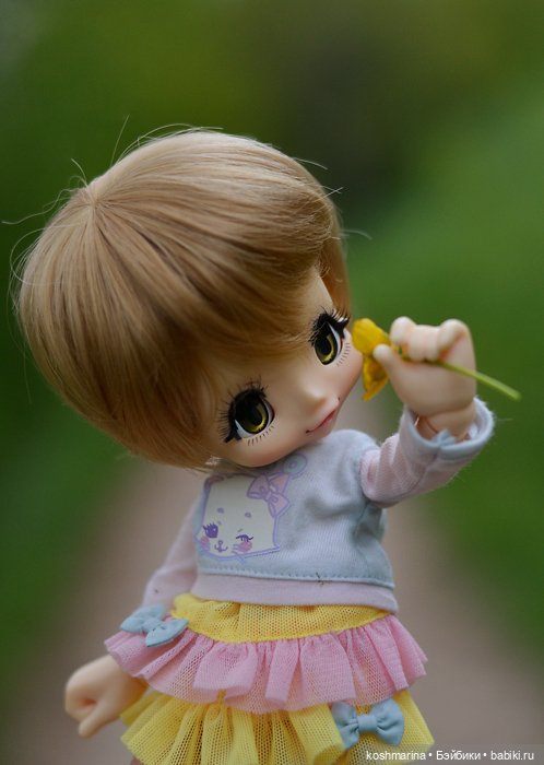 Настал ее день — Куклы Azone (Азон) и тела Pure Neemo: фото